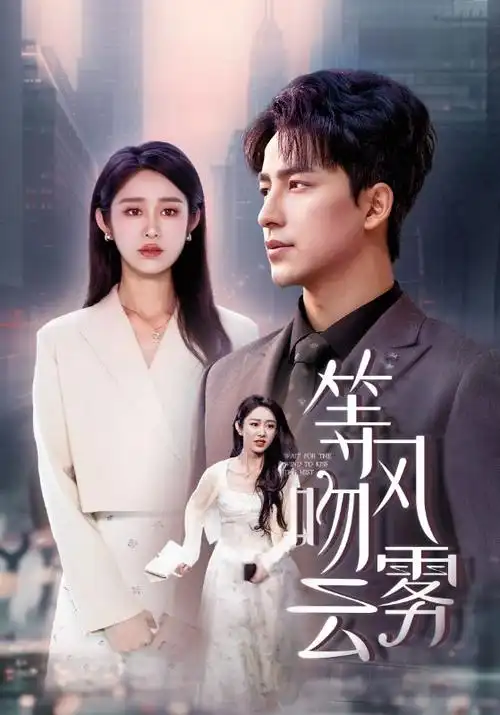 《南来北往》海报